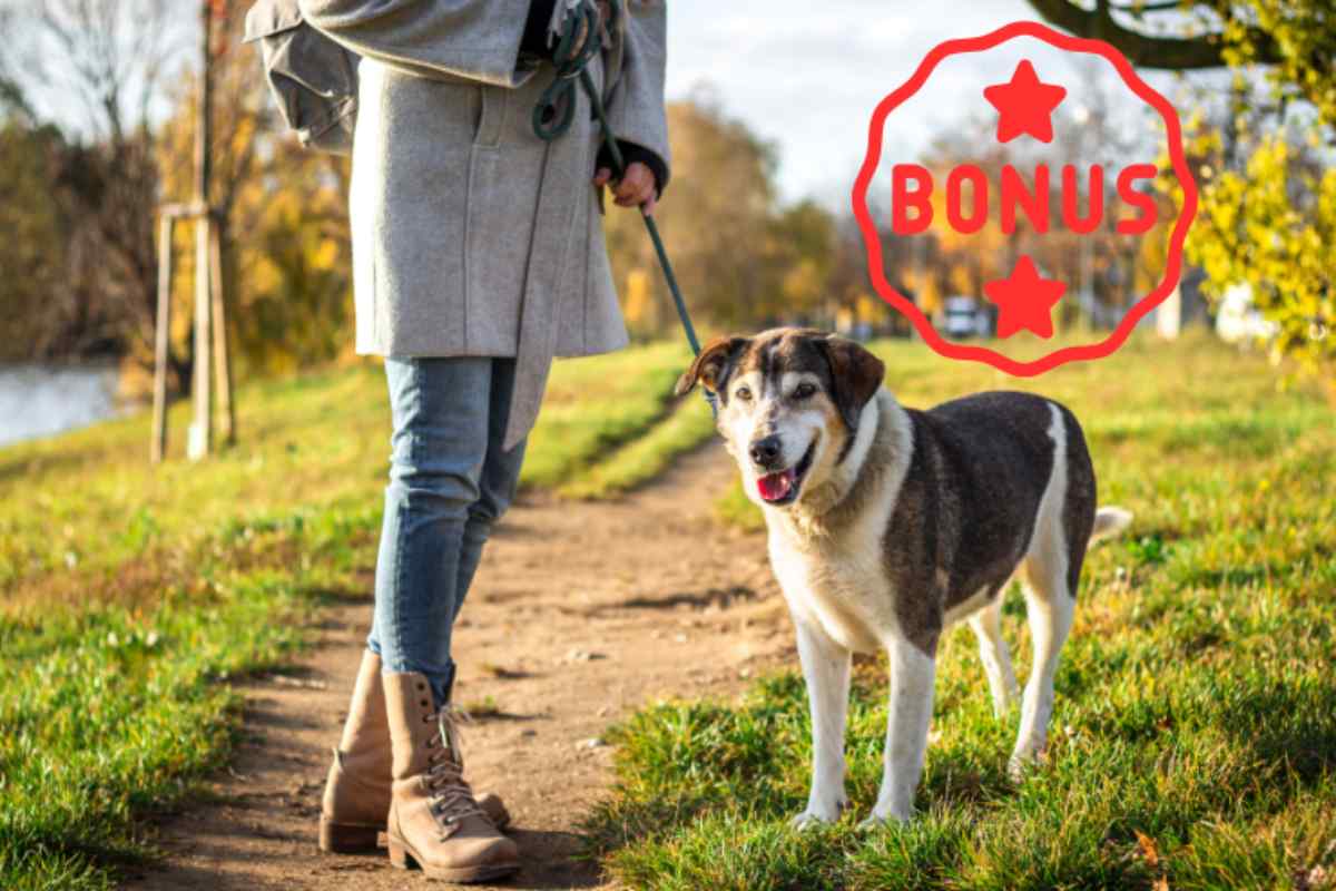 ragazza passeggia con cane e timbro bonus