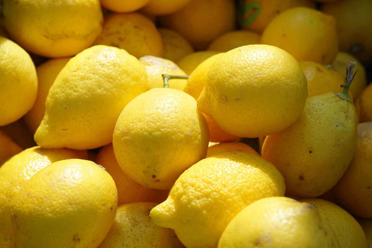 limoni